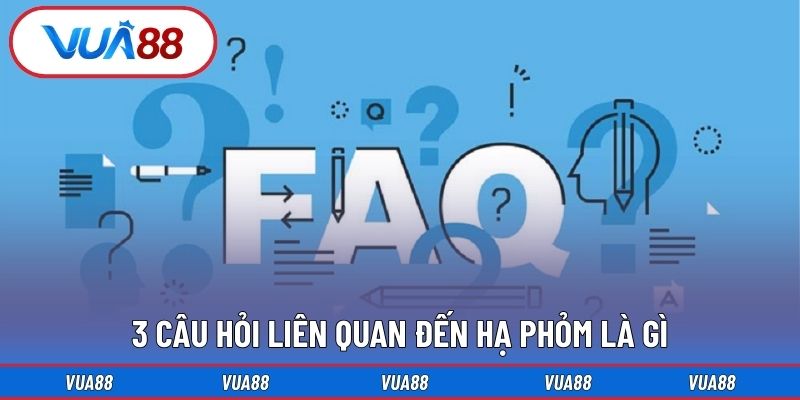 3 câu hỏi liên quan đến hạ phỏm là gì