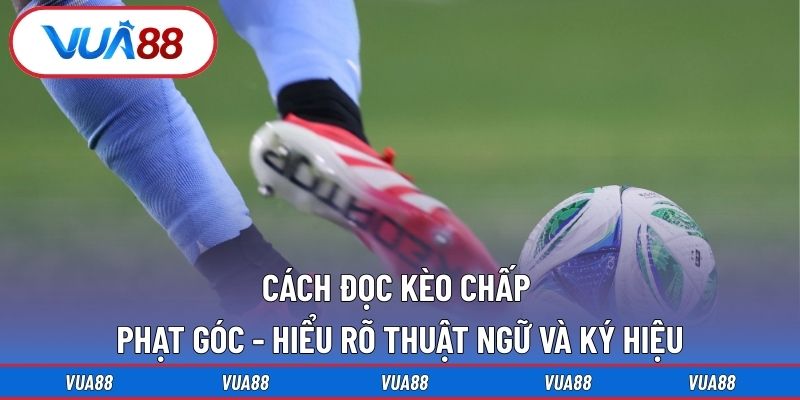 Cách đọc kèo chấp phạt góc - hiểu rõ thuật ngữ và ký hiệu