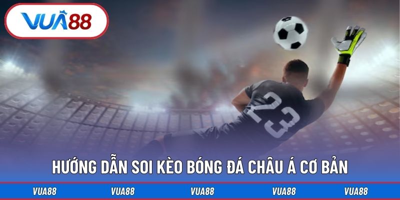 Hướng dẫn soi kèo bóng đá châu á cơ bản