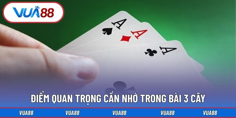 Điểm quan trọng cần nhớ trong bài 3 cây