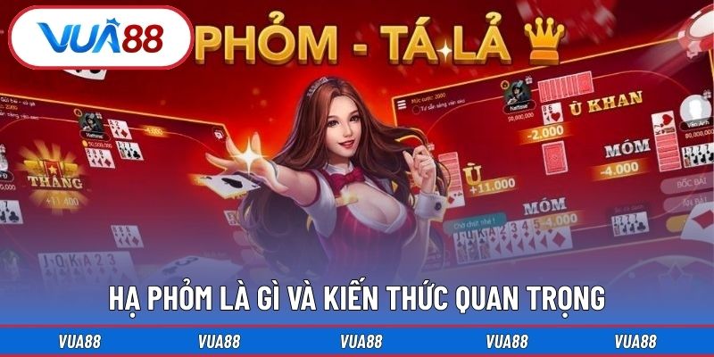 Hạ phỏm là gì và kiến thức quan trọng