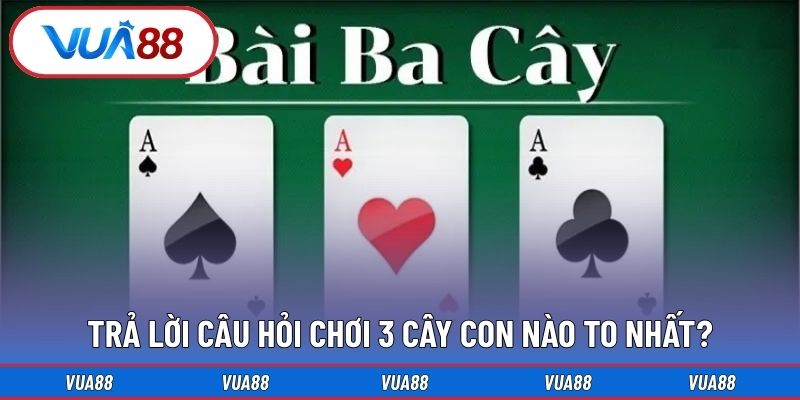 Trả lời câu hỏi chơi 3 cây con nào to nhất?