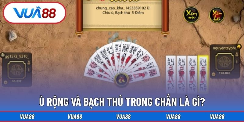 Ù rộng và bạch thủ trong chắn là gì?